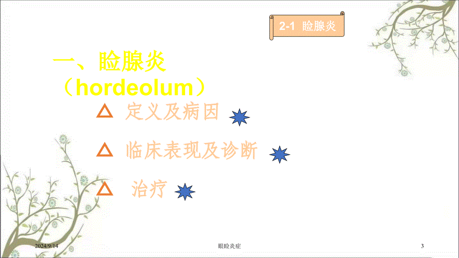 眼睑炎症课件_第3页