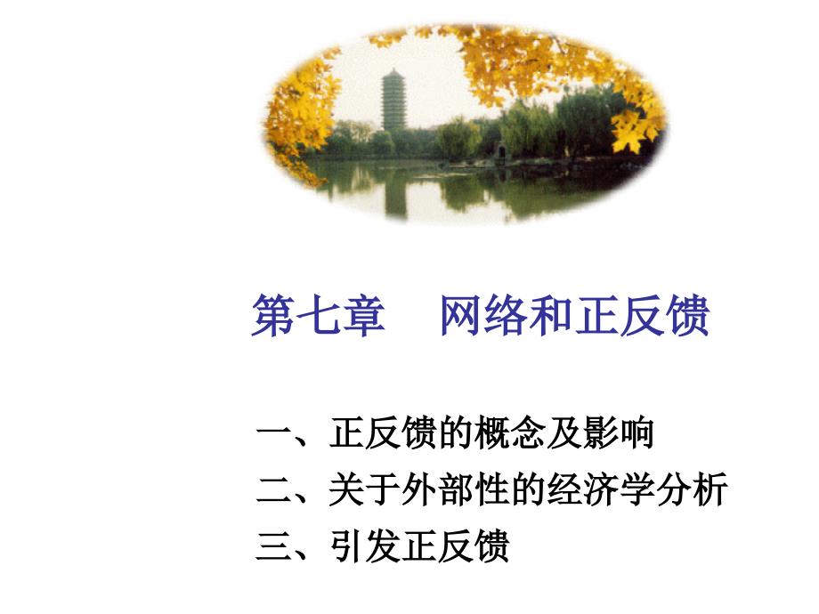 第七章网络与正反馈_第1页