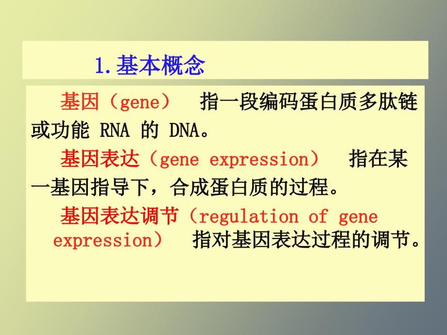 核酸的生物学功能_第3页