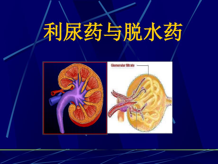 18.利尿药与脱水药_第1页