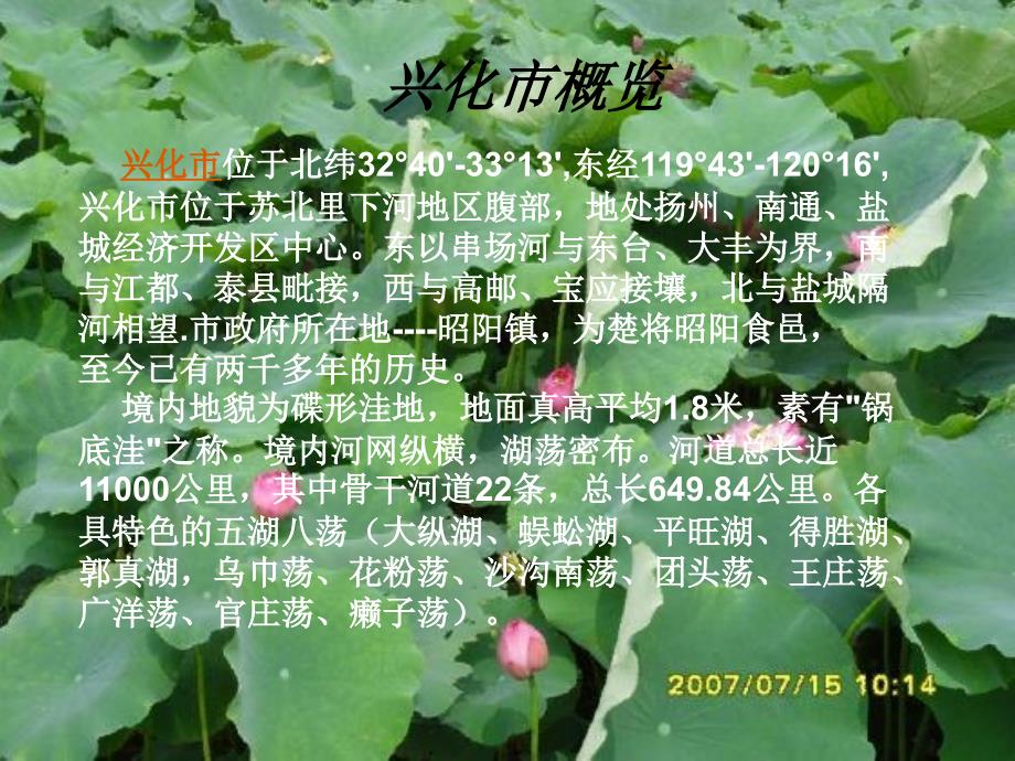 我的家乡兴化_第3页