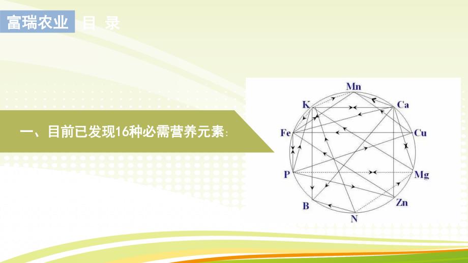 营养元素之间的拮抗与协同作用_第2页