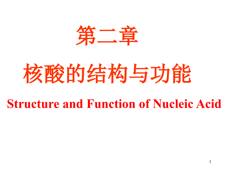 生物化学课件杨洋2核酸结构与功能2_第1页