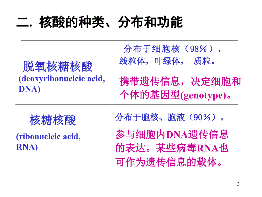 生物化学课件杨洋2核酸结构与功能2_第3页