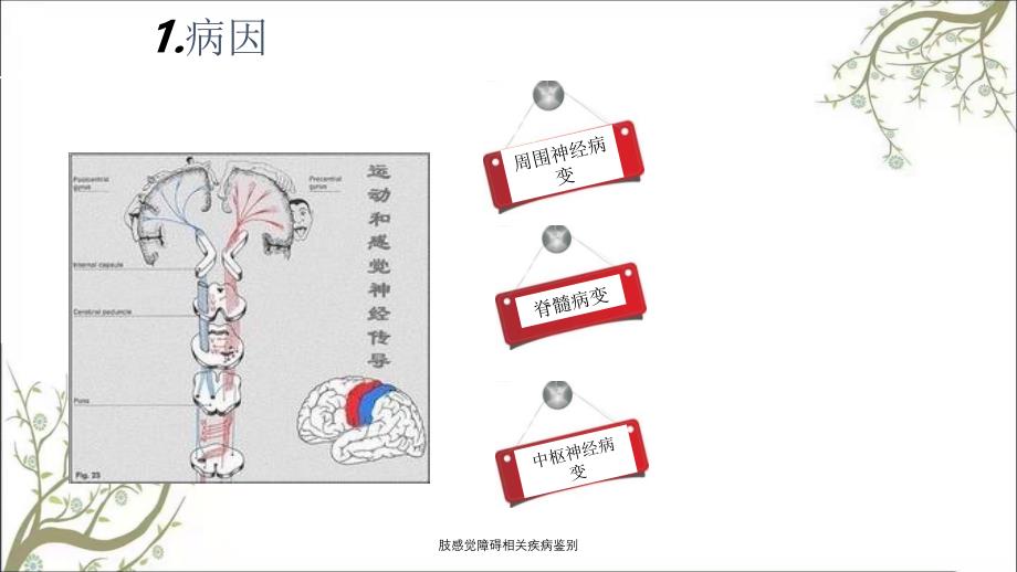 肢感觉障碍相关疾病鉴别_第3页