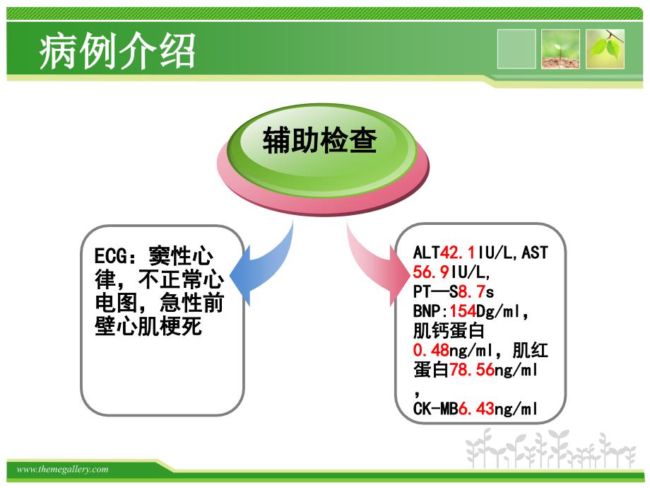 《心梗护理查房》PPT课件_第4页