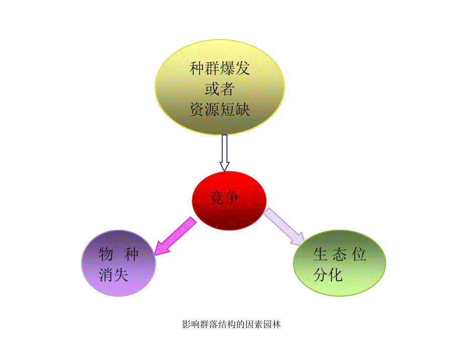 影响群落结构的因素园林课件_第4页