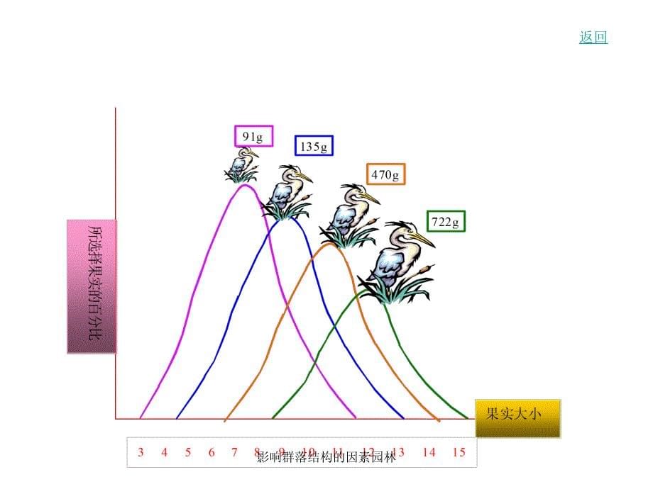 影响群落结构的因素园林课件_第5页