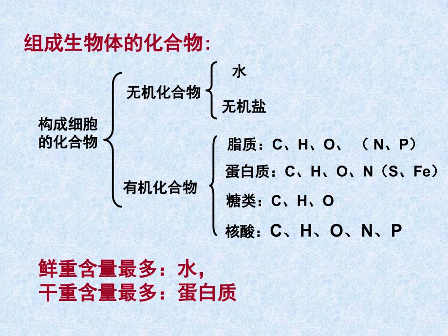 高中生物成套复习课件 人教版必修一化学元素和化合物_第4页