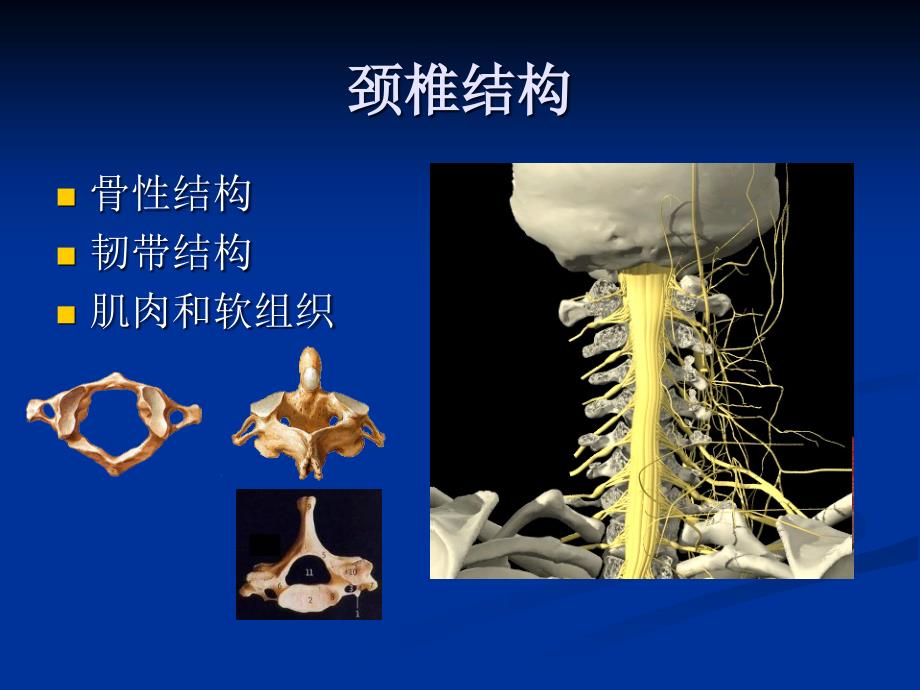 脊髓型颈椎病的诊治_第3页