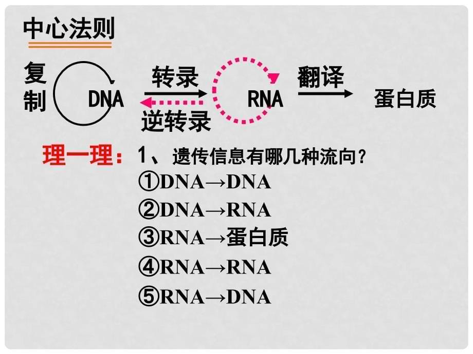 高中生物 4.2 基因对性状的控制课件 新人教版必修2_第5页