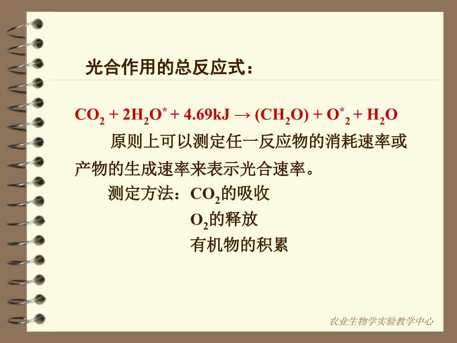 《植物叶片光合速率》PPT课件.ppt_第3页