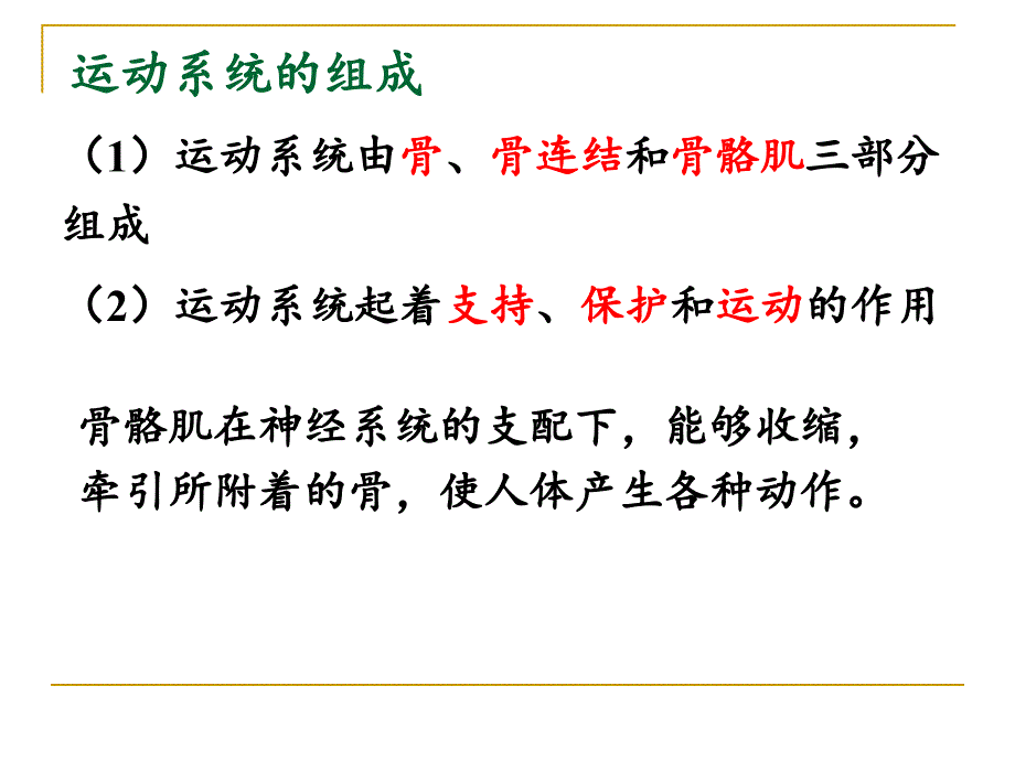 5人的运动系统和保健_第2页