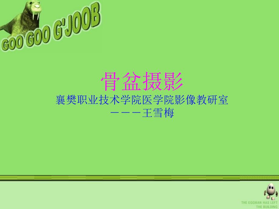 《骨盆最新整理》PPT课件.ppt_第1页