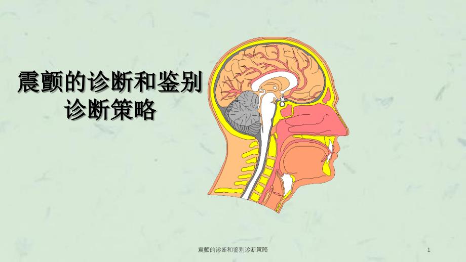 震颤的诊断和鉴别诊断策略课件_第1页