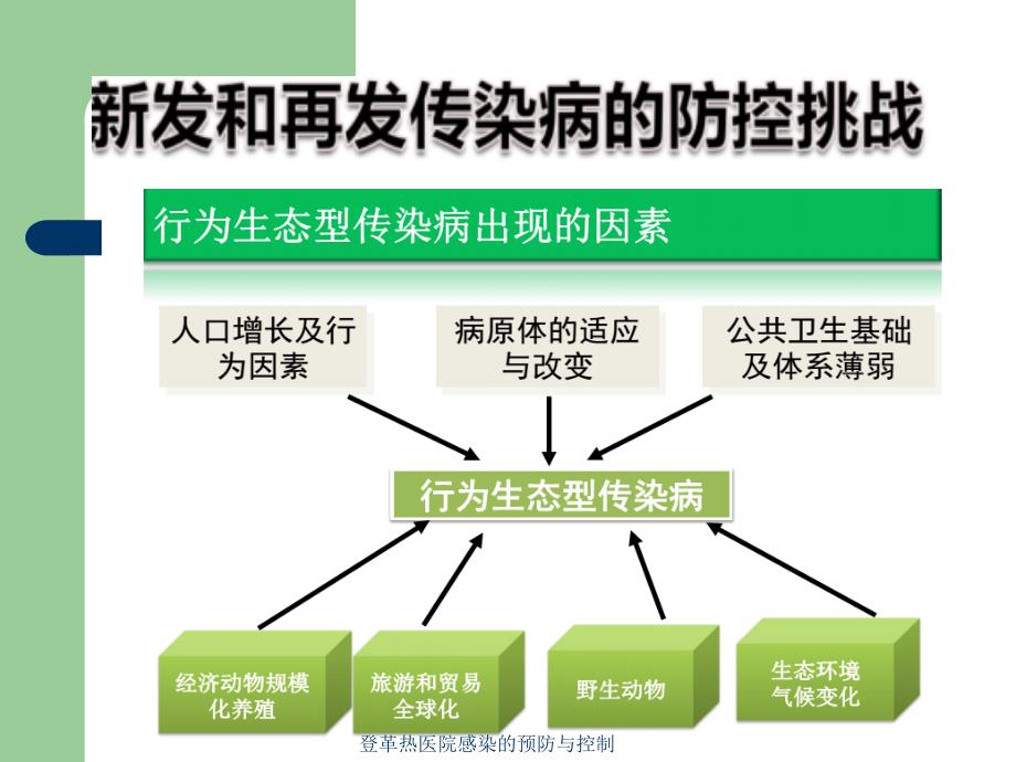 登革热医院感染的预防与控制_第4页