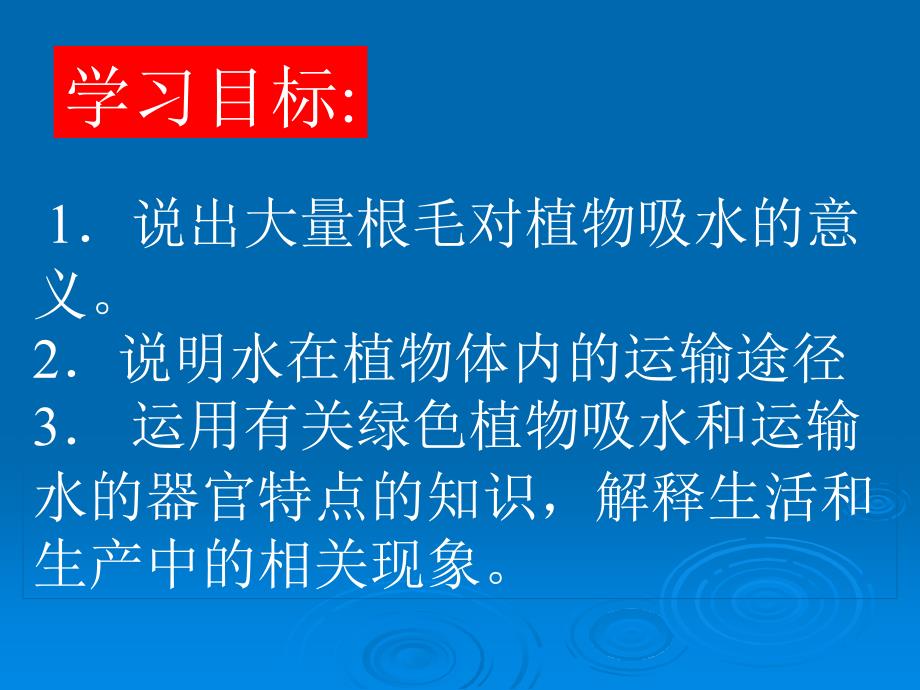 第三章第一节水分进入植物体内的途径课件_第3页