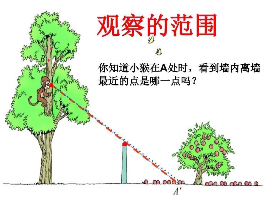 北师大版数学六年级上册第三单元观察的范围课件2_第5页