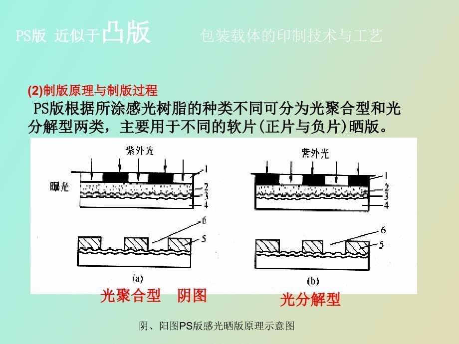 印刷与包装材料_第5页