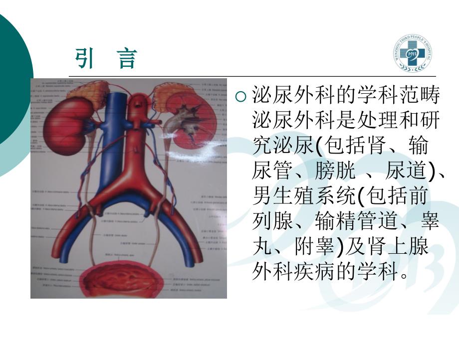 外科学教学课件：泌尿、男生殖系统外科检查和诊断_第4页