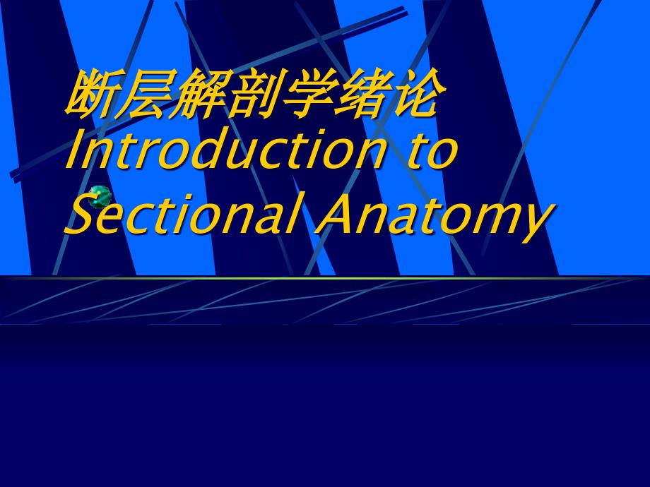 断层解剖学课件：01 断层解剖学绪论_第1页