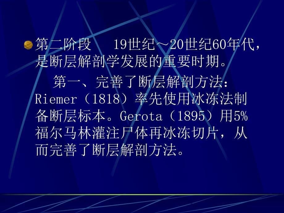 断层解剖学课件：01 断层解剖学绪论_第5页