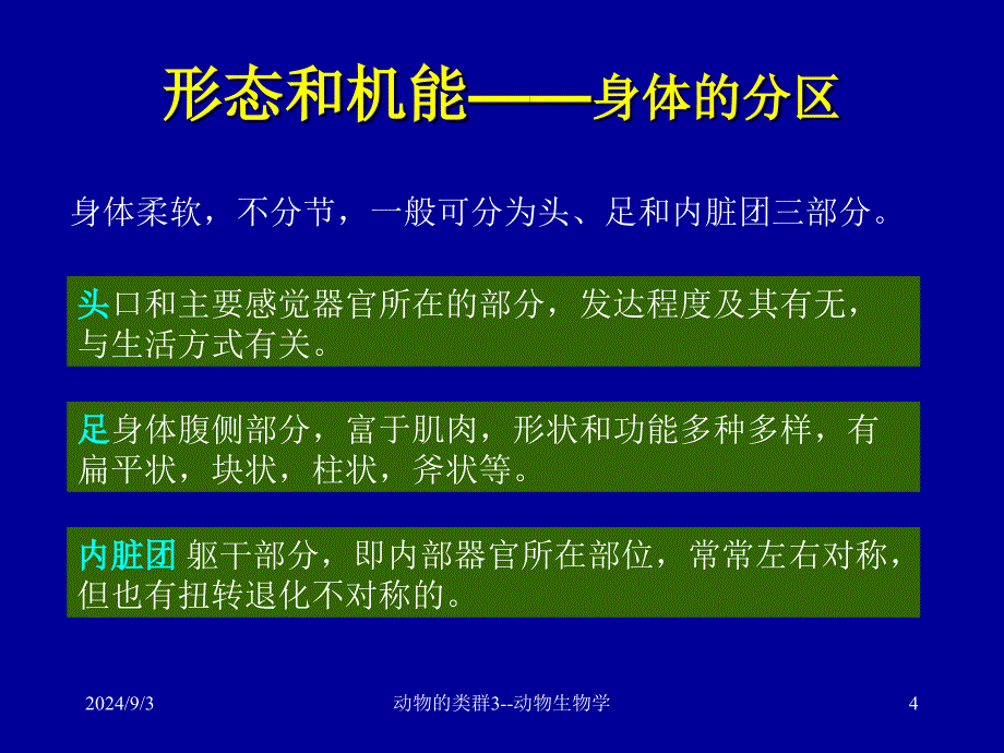 初中生物课件：2动物的类群3软体节肢动物_第4页