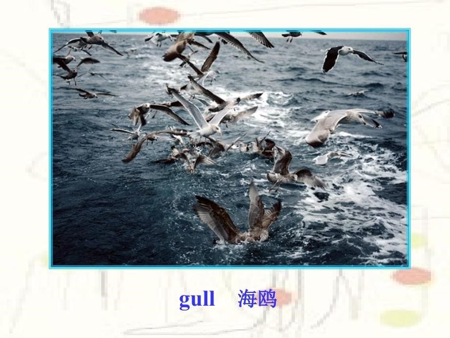 《Unit 3 Warming up and Reading》课件二（22张PPT）（人教版选修7）_第5页