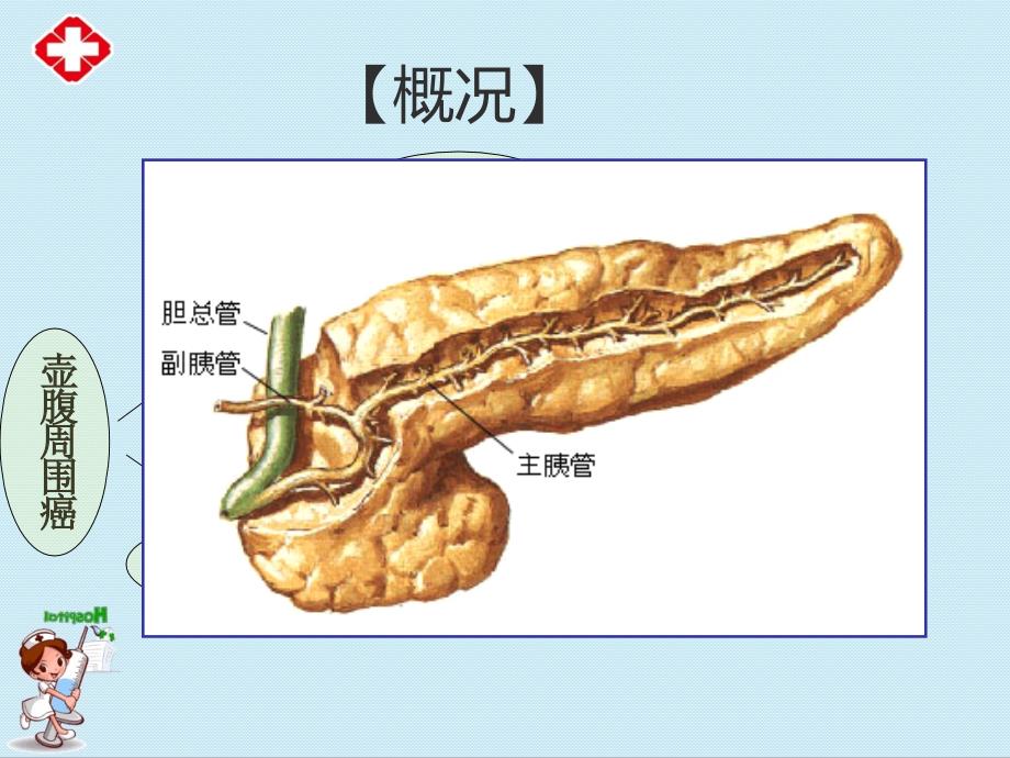 胰腺癌病人的护理ppt (2).ppt_第3页