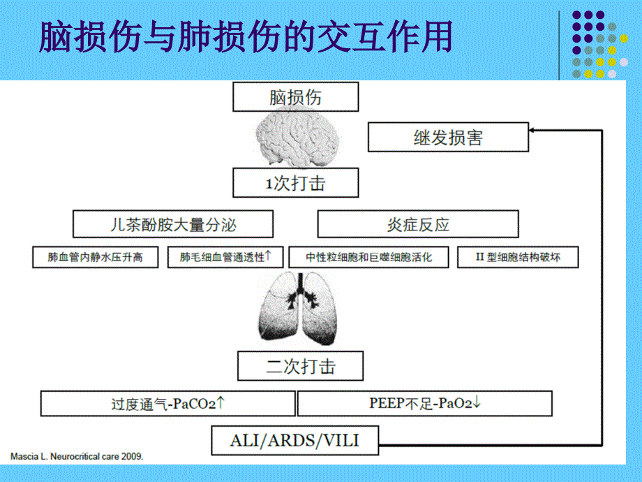 颅脑创伤患者机械通气治疗_第3页