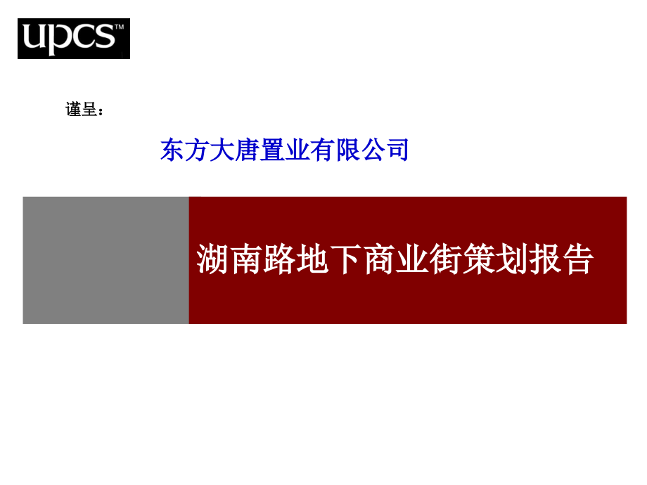 zA湖南路地下商业街策划报告_第2页