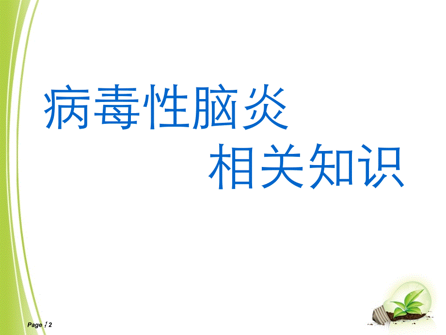 病毒性脑炎PPT课件_第2页