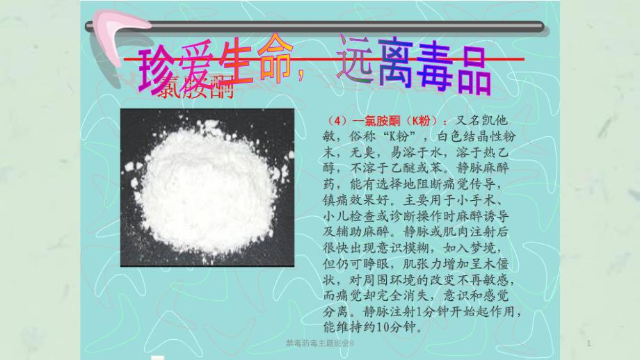 禁毒防毒主题班会8课件_第1页