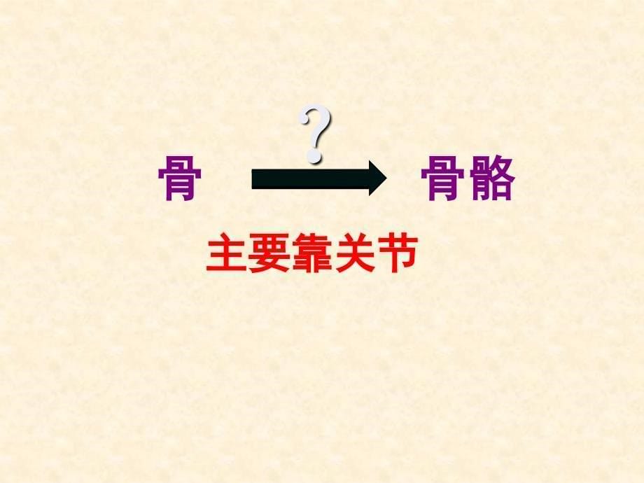 人教课标版初中生物八年级上册第五单元第二章第一节动物的运动_第5页