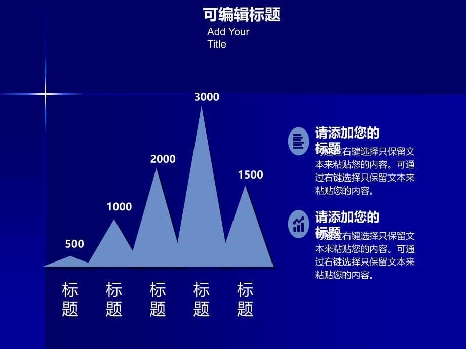 商务项目策划书PPT模板_第5页