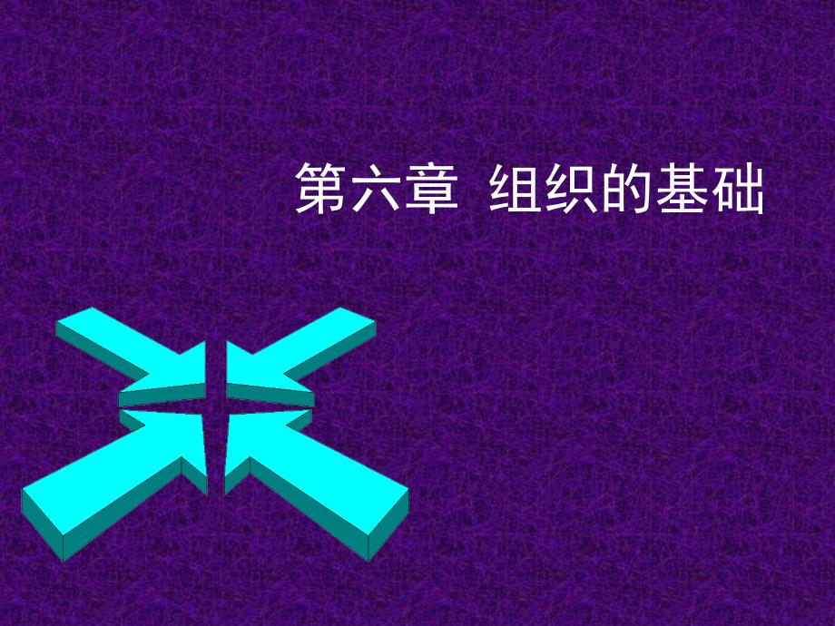 六章组的基础_第1页