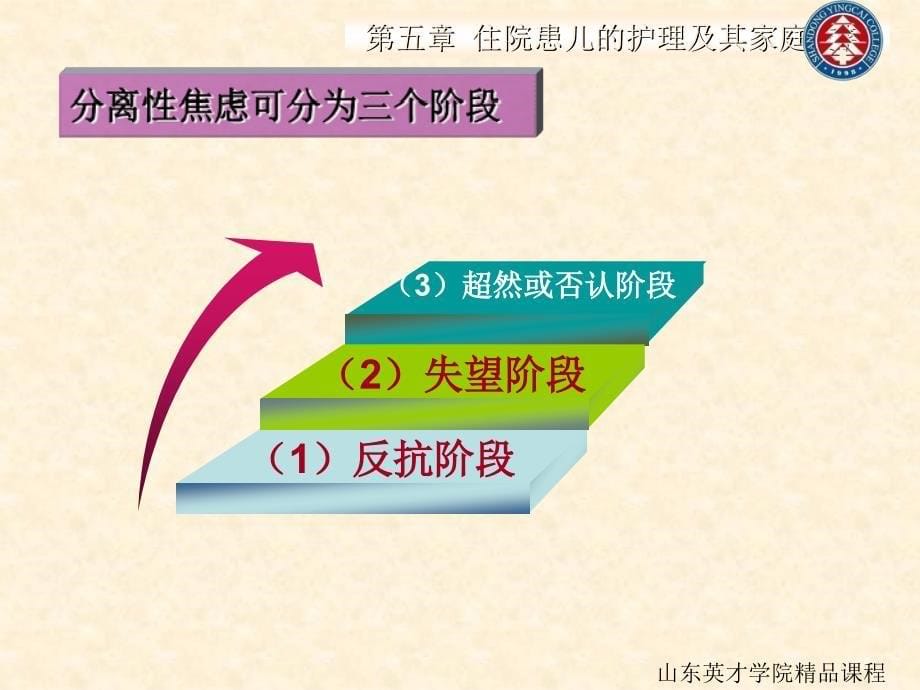 五章节住院患儿护理及家庭支持_第5页