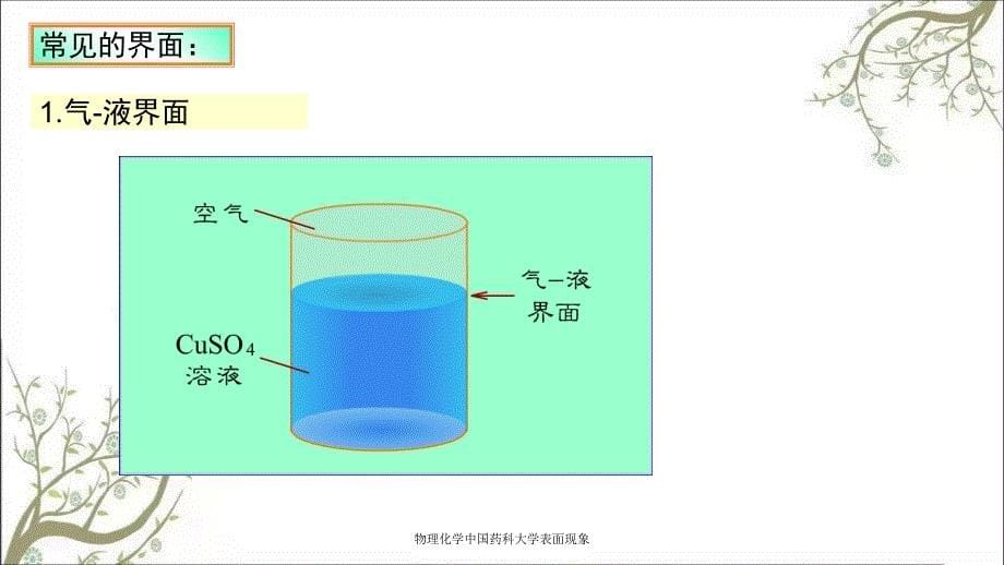 物理化学中国药科大学表面现象_第5页