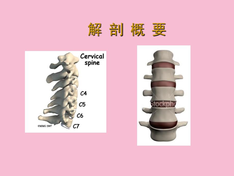 颈肩痛的基础康复临床治疗ppt课件_第2页