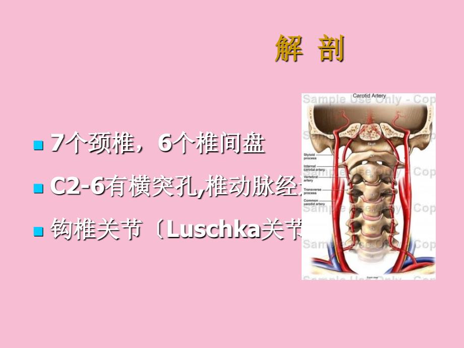 颈肩痛的基础康复临床治疗ppt课件_第4页