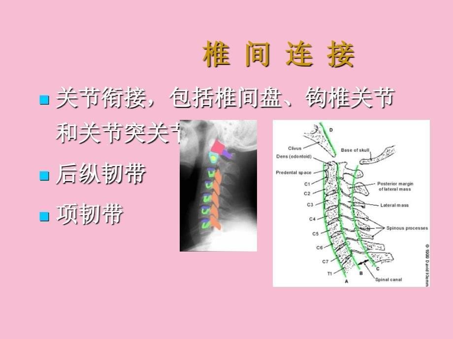 颈肩痛的基础康复临床治疗ppt课件_第5页