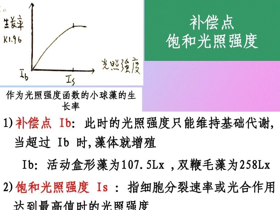 影响培养藻类生长和繁殖的因子_第5页