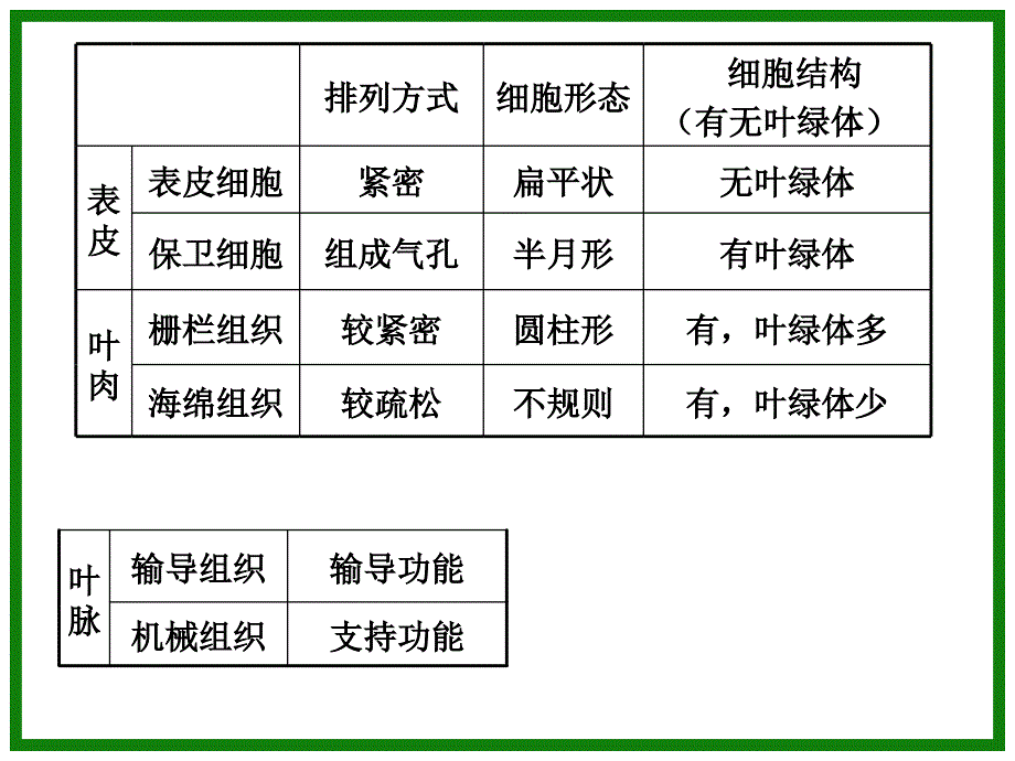 绿色植物蒸腾作用_第2页