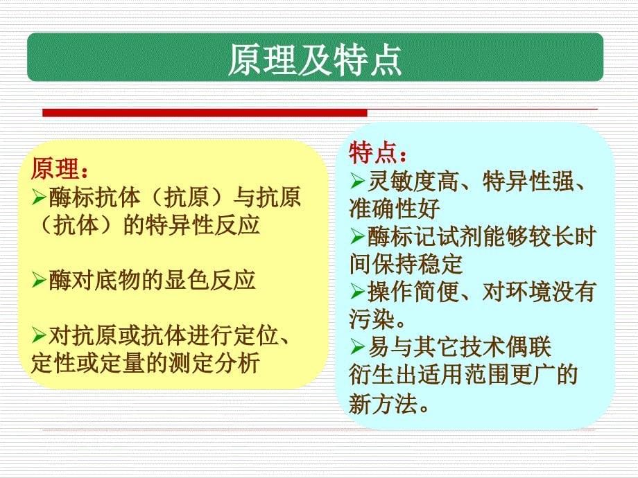 第八章酶免疫技术_第5页