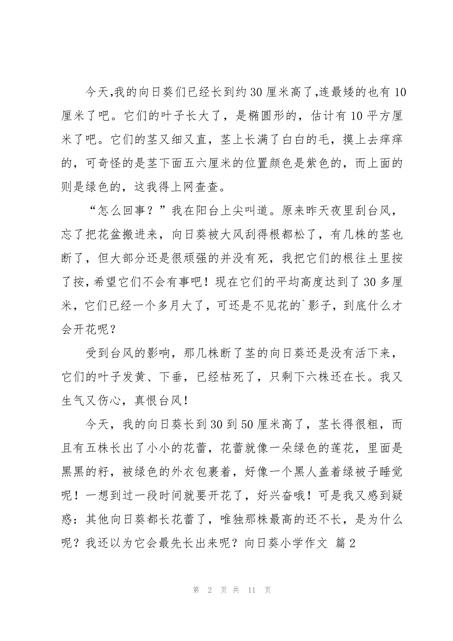 向日葵小学作文汇总9篇_第2页