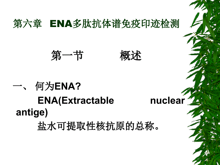 第六章ENA多肽抗体谱免疫印迹检测ppt课件_第2页