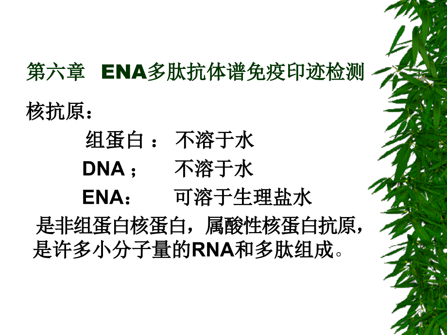 第六章ENA多肽抗体谱免疫印迹检测ppt课件_第3页