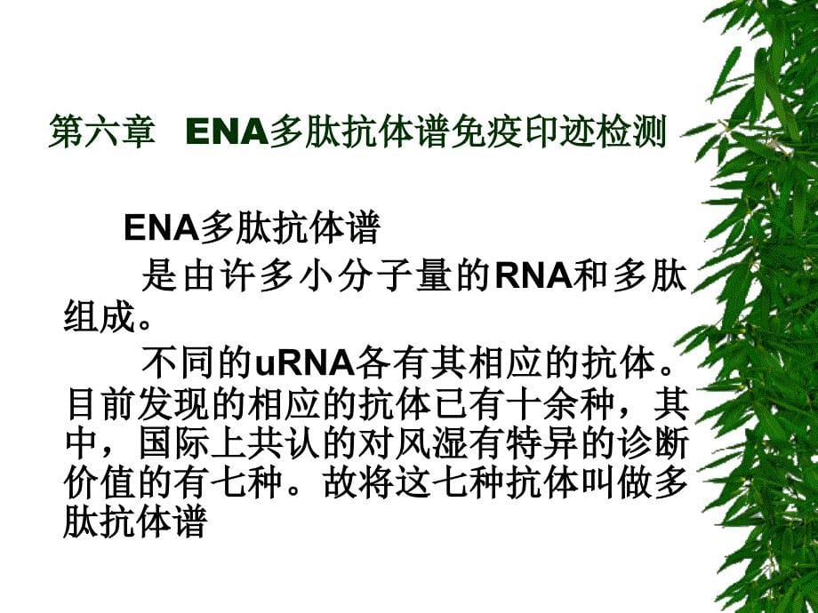 第六章ENA多肽抗体谱免疫印迹检测ppt课件_第5页