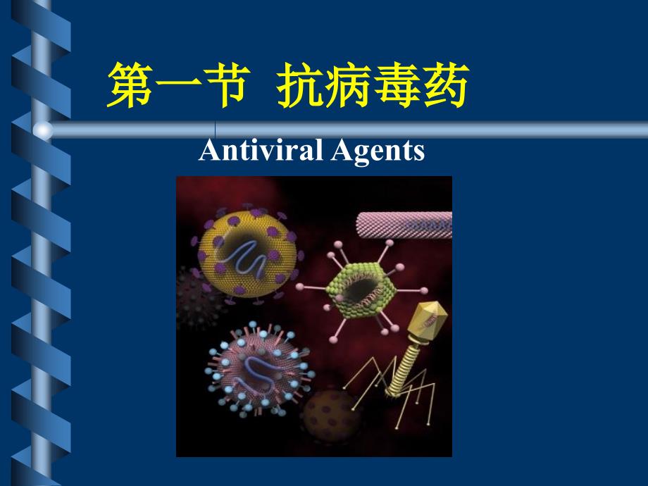 药理学教学课件：化疗药4--抗真菌抗病毒药_第4页