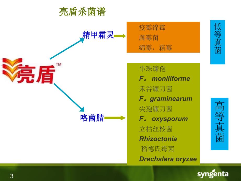 亮盾产品介绍tanshang_第3页